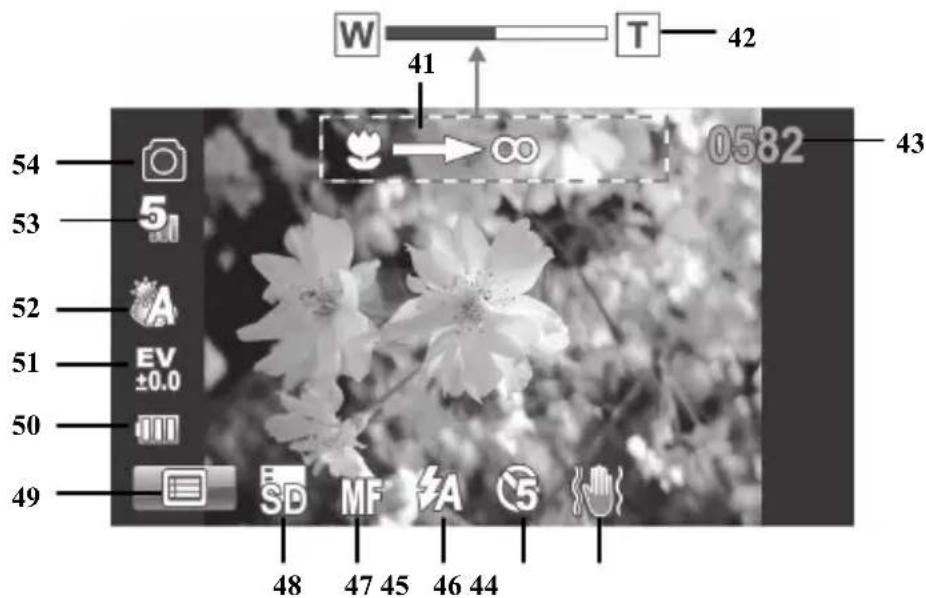 W 41 T 42 54 53 52 51 50 49 48 47 45 46 44 ∞ 0582 43