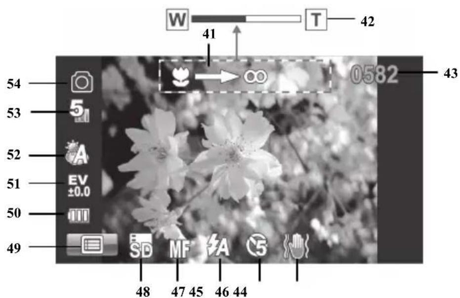 W 41 T 42 54 53 52 51 50 49 48 47 45 46 44 0582 43