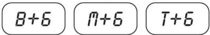 B+6 M+6 T+6