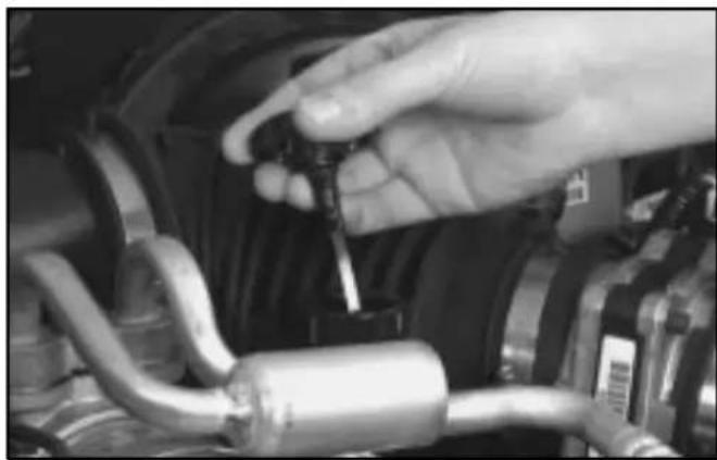 Buick Park Avenue (2002) - Power Steering Fluid - 1