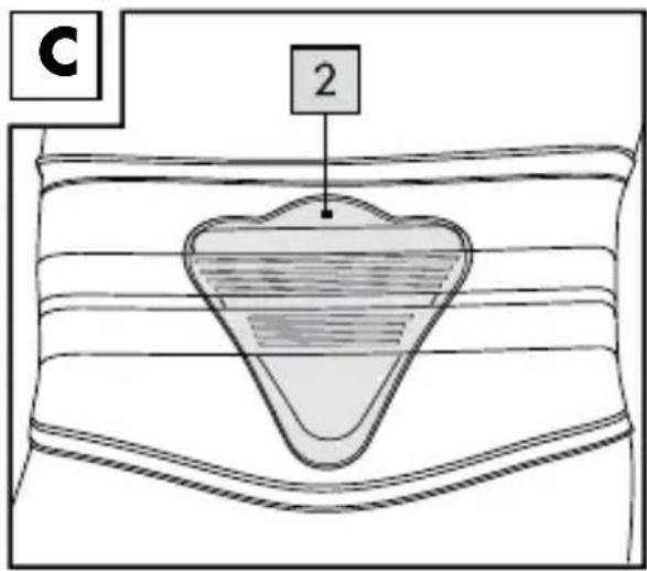 C 2