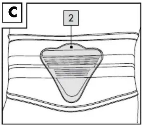 C 2