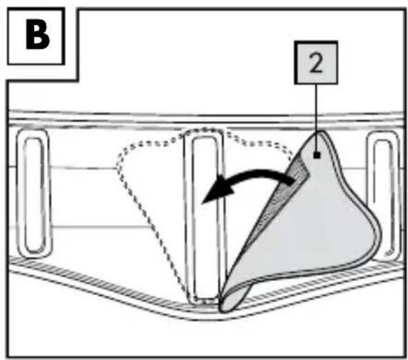 B 2
