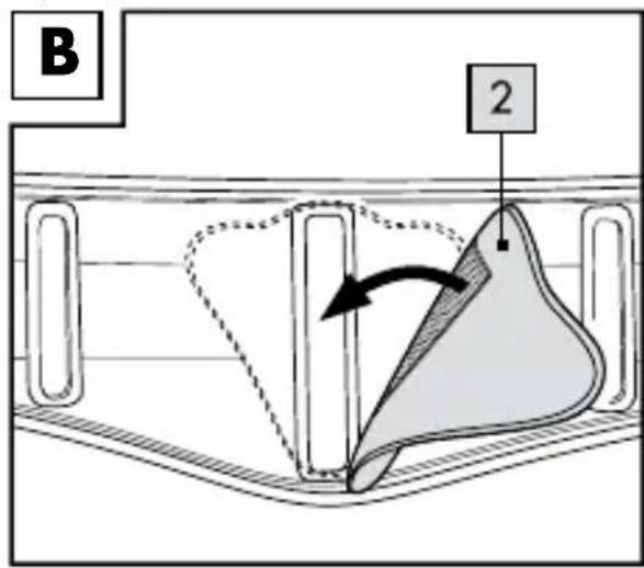 B 2