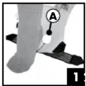 A 1