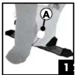 A 1