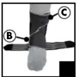 Medical diagram showing labeled points B, C, and C on a human leg with a bandage and finger placement indicator