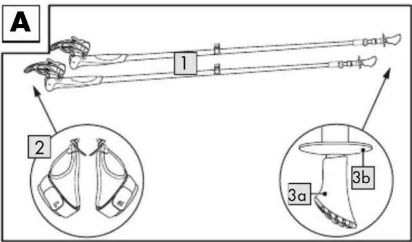 A 1 2 3a 3b