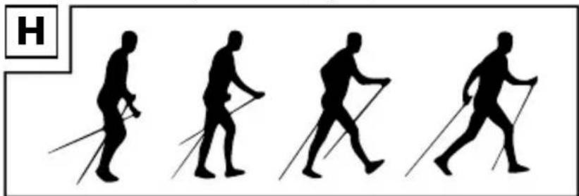 CRIVIT IAN 307011 - Nordic Walking Technique - 1