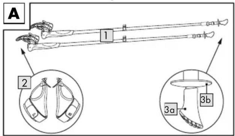 A 1 2 3a 3b