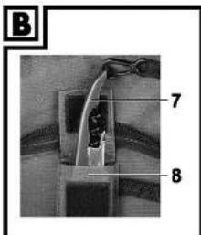 B 7 8
