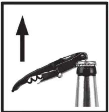CRIVIT IAN 96020 - Utilizare tirbuşon/desfăcător de capace de sticlă - 2