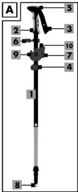 A 2 6 9 1 8 5 3 10 7 4 0