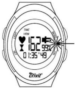 TIME HRM 162 102.99% 0 1:35'49 Erivit®