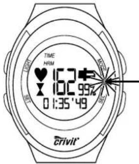 TIME HRM 162° 102 99% 0 1:35 '49 crivit®