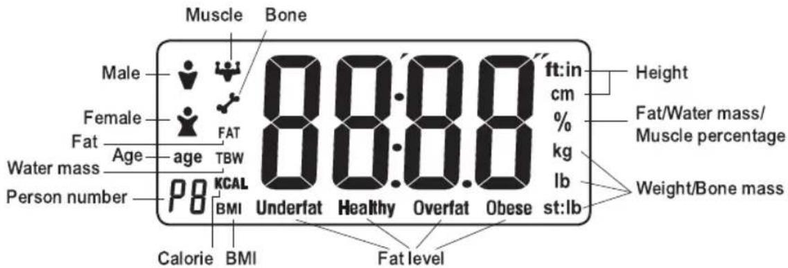 Muscle Bone Male Female Fat Age Water mass Person number 88:88.8 88:88.8 88:88.8 BMI Underfat Healthy Overfat Obese ft:in cm % kg lb Height Fat/Water mass/ Muscle percentage Weight/Bone mass Calorie BMI Fat level