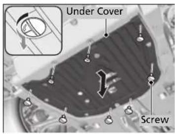 Under Cover Screw