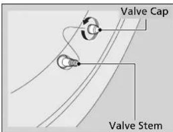 Valve Cap Valve Stem