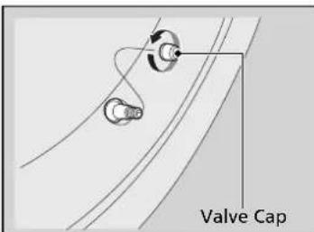 Valve Cap