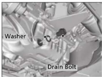 Washer Drain Bolt