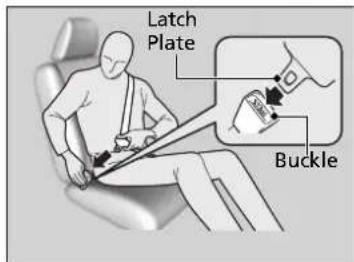 Latch Plate Buckle