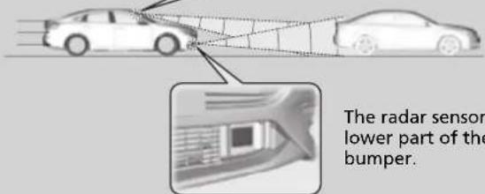 The radar sensor lower part of the bumper.