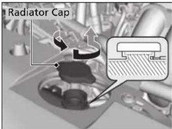 Radiator Cap
