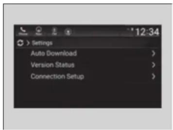 Settings Auto Download > Version Status > Connection Setup >