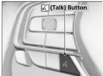 (Talk) Button