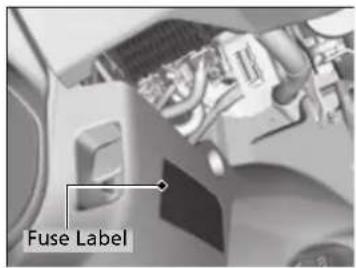 Fuse Label