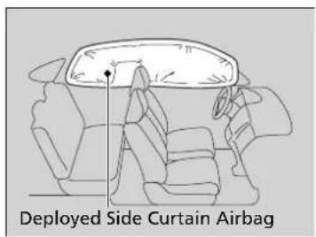 Deployed Side Curtain Airbag