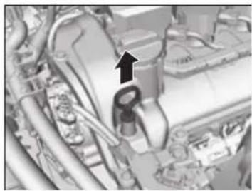 Honda Insight (2022) - Oil Check - 1
