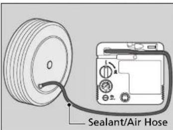 Sealant/Air Hose