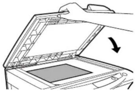 OLIVETTI d-Copia 120D - Place an original face down on the original table. Align it with the original scale and the centering (▶mark. Gently close the original cover/SPF. - 2