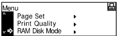 Menu Page Set Print Quality RAM Disk Mode