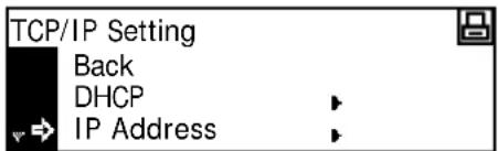 TCP/IP Setting Back DHCP IP Address