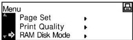 Menu Page Set Print Quality RAM Disk Mode
