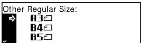 Other Regular Size: A3 B4 B5