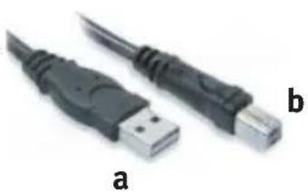 OKI ML5591eco - ANSCHLIEßEN DES USB-KABELS - 1