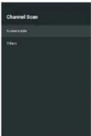 Channel Scan Numericable Others
