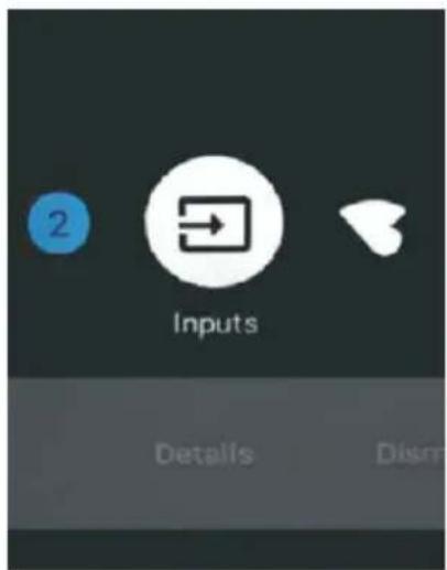 2 Inputs Details Disn