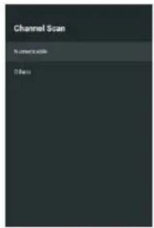Channel Scan Numericable Others