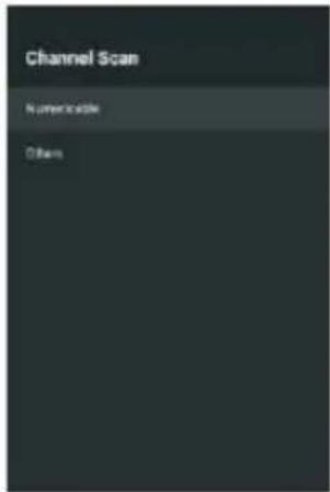 Channel Scan Numericable Others