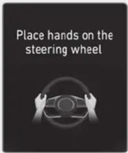 Place hands on the steering wheel