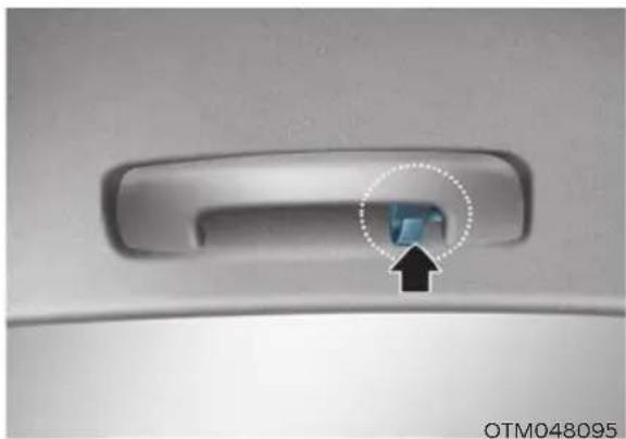 HYUNDAI Elantra N (2022) - Coat Hook - 1