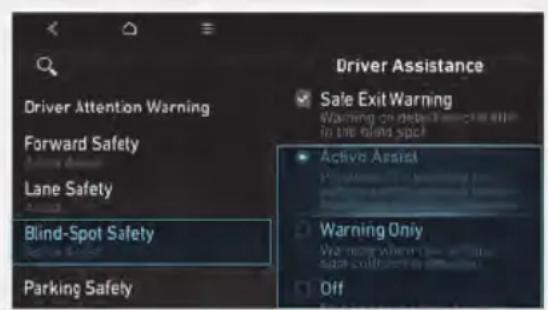 Driver Attention Warning Forward Safety Lane Safety Blind-Spot Safety Parking Safety Driver Assistance Safe Exit Warning Warning on default in the blind spot Active Assist Warning Only We now when we satz south are in the Off