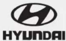 HYUNDAI Elantra N (2022) - What are HYUNDAI Genuine Parts? - 1