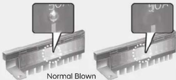 50A 50A Normal Blown