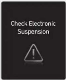 Check Electronic Suspension