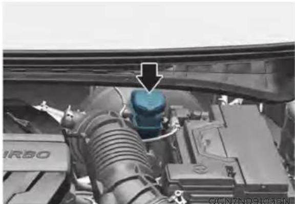 HYUNDAI Elantra N (2022) - Checking the Brake/Clutch Fluid Level - 1